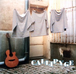 Single Callipyge1995